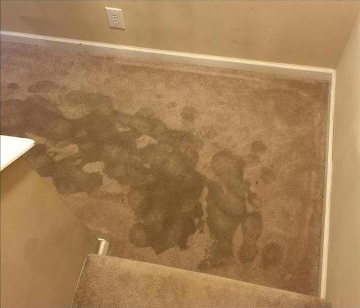 carpet with water damage in Fort Worth